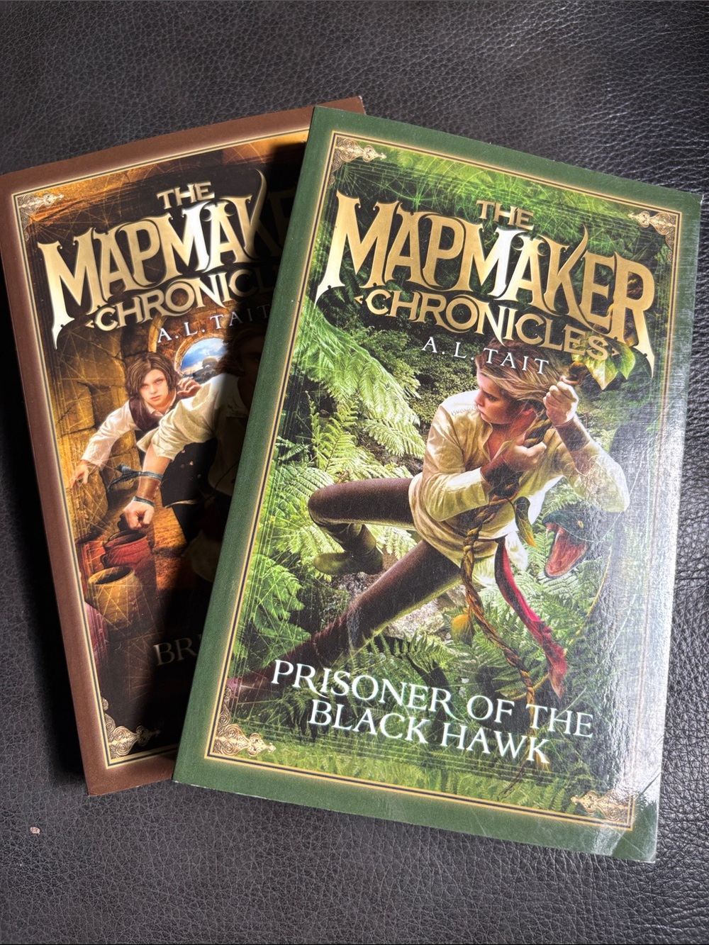 The Mapmaker Chronicles Lot; Books 2-3 (Paperback, Young Adult/YA) by A.L. Tait